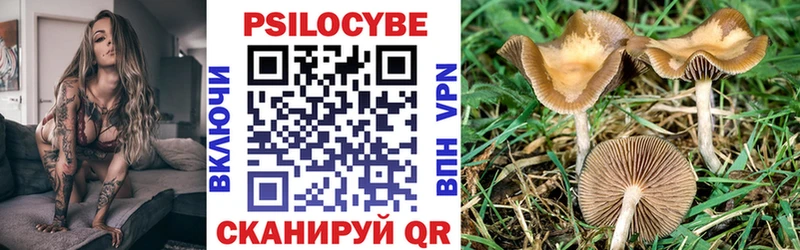 площадка телеграм  Магадан  Псилоцибиновые грибы мухоморы  наркота 