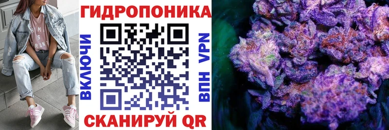 сайты даркнета как зайти  Магадан  Марихуана индика  где купить наркоту 